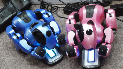 2011国際ロボット展 Dongbu Robot genibo